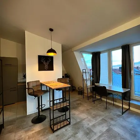 Talgarten Penthouse 1 דירה